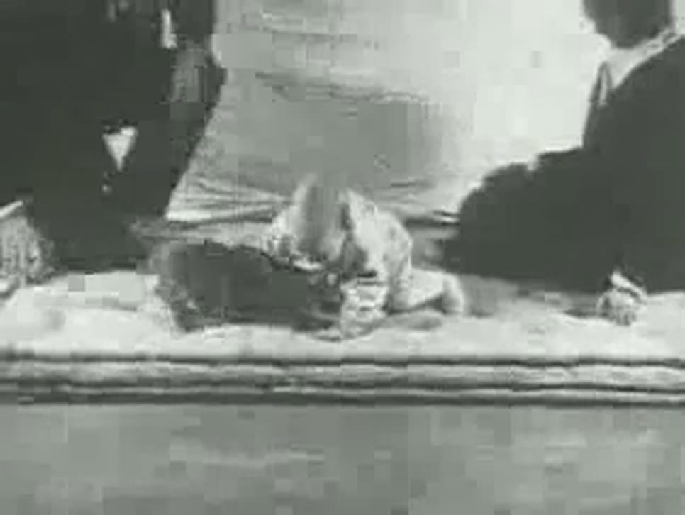A grainy frame of silent film: a baby on hands and knees crawls across a white mattress away from a dark furry animal at the left, while a man in a dark suit sits at the right