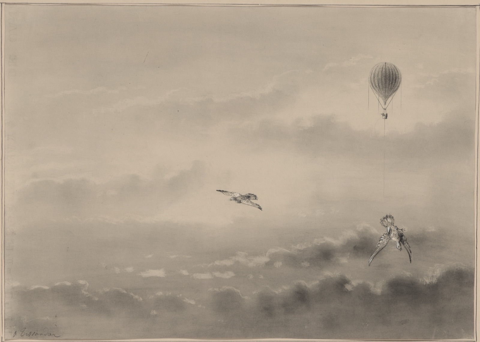 A grey wash drawing of a cloudscape with a small balloon high at the right, one pigeon flying level across the middle and another falling head-first with its wings spread