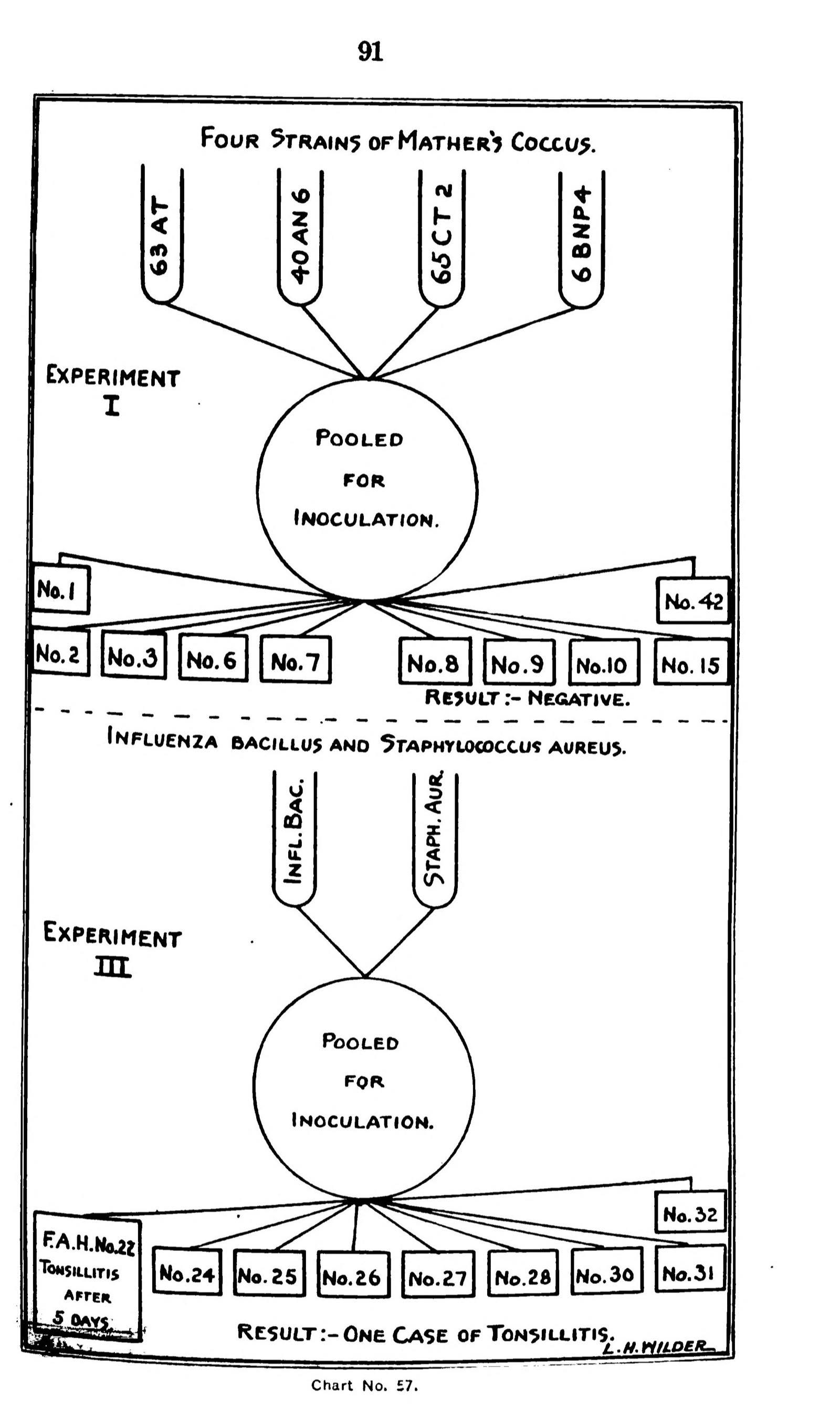 A hand-drawn chart in which labelled test tubes feed into a circle marked Pooled for Inoculation, with lines running out to small boxes numbered for each volunteer, and the result written underneath